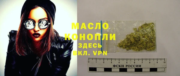 индика Козельск