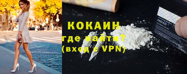 ПСИЛОЦИБИНОВЫЕ ГРИБЫ Коряжма