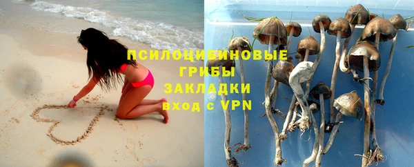крисы Приозерск