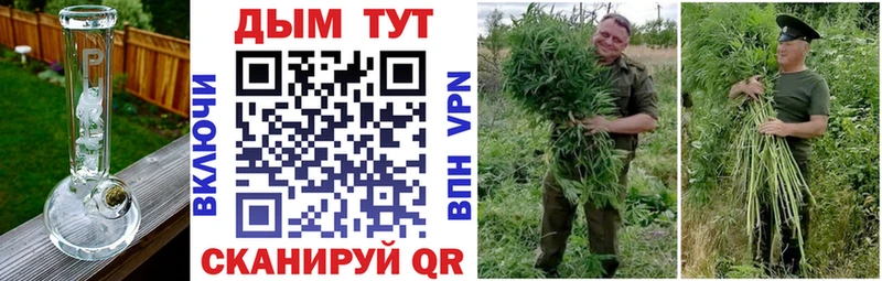 МАРИХУАНА конопля Лакинск